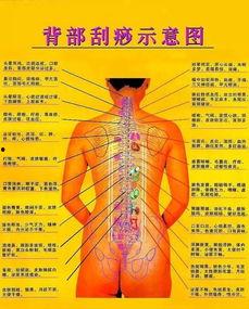 肩颈刮痧视频教程,轻松缓解疲劳，焕发活力