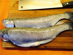 虹鳟鱼做法视频