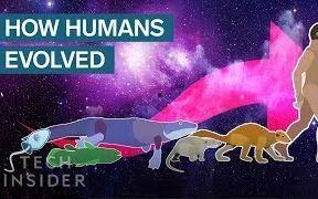 地球的进化史视频,生命起源与演化的壮丽画卷