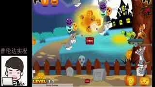 猫与巨鼠大战视频,一场惊心动魄的生死较量