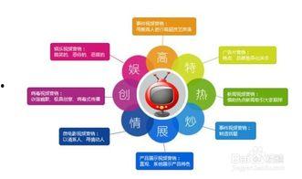 网络营销视频,揭秘网络红利的秘密武器