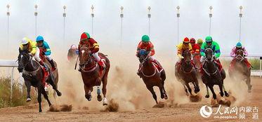 内蒙古赛马比赛视频,速度与激情的视觉盛宴