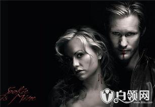 美剧大尺度电影视频,美剧大尺度电影背后的激情与真相