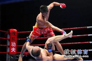 张铁泉ufc比赛视频,热血沸腾的格斗传奇